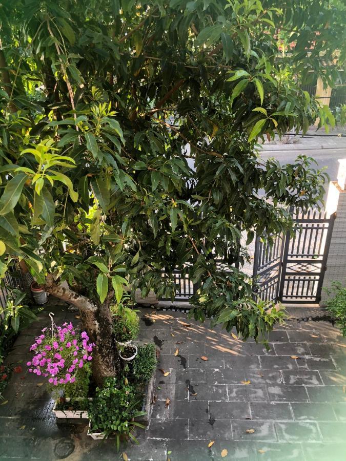 Homestay Phuong House Hoi An Exterior photo